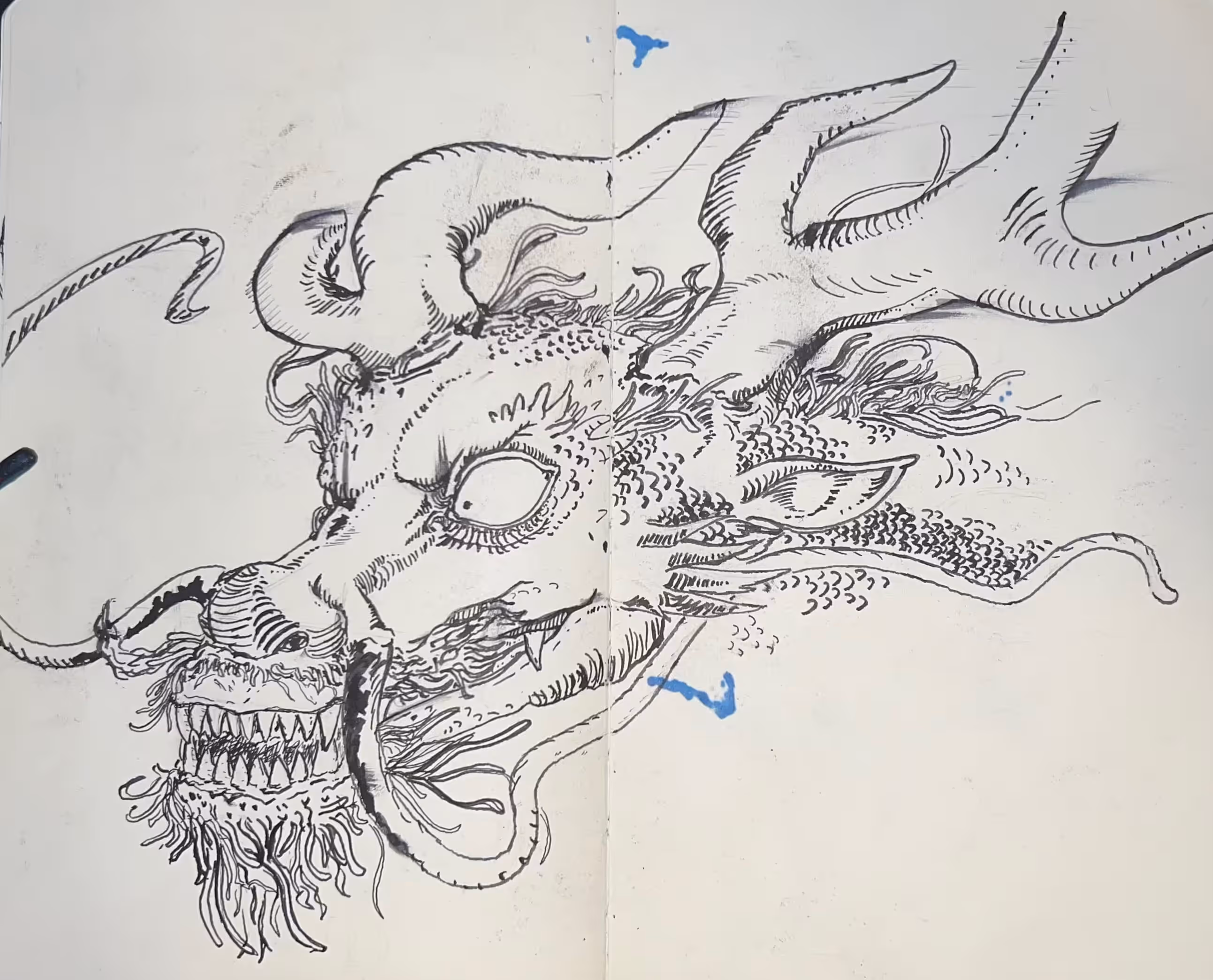 dragon pen drawing