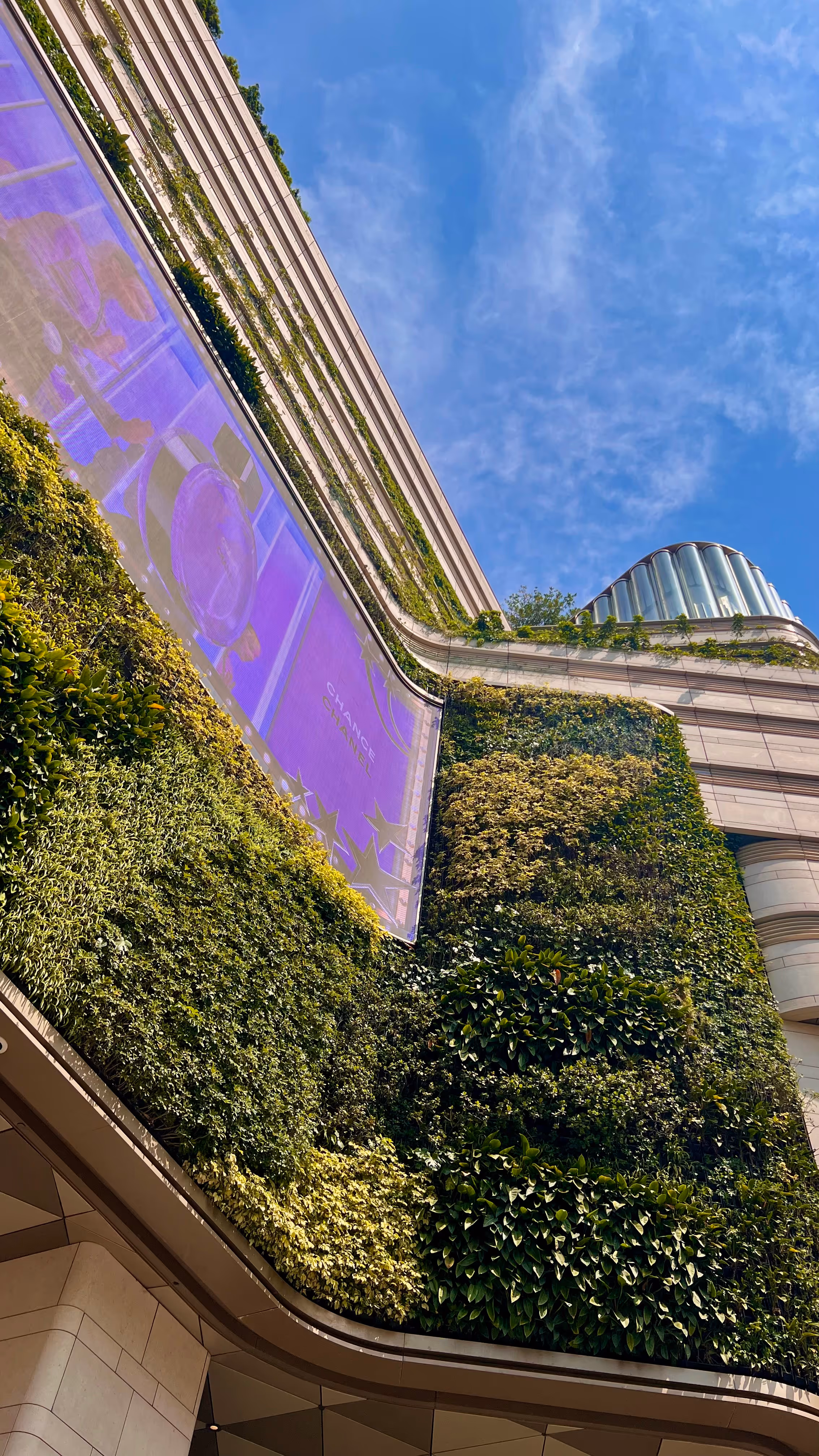Wall with greenery and large billboard. Blue sky in background.